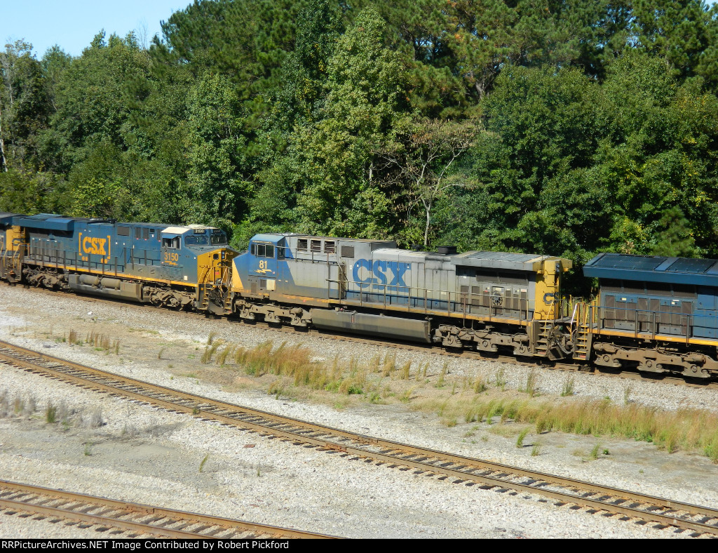 CSX 81 (AC44CW)